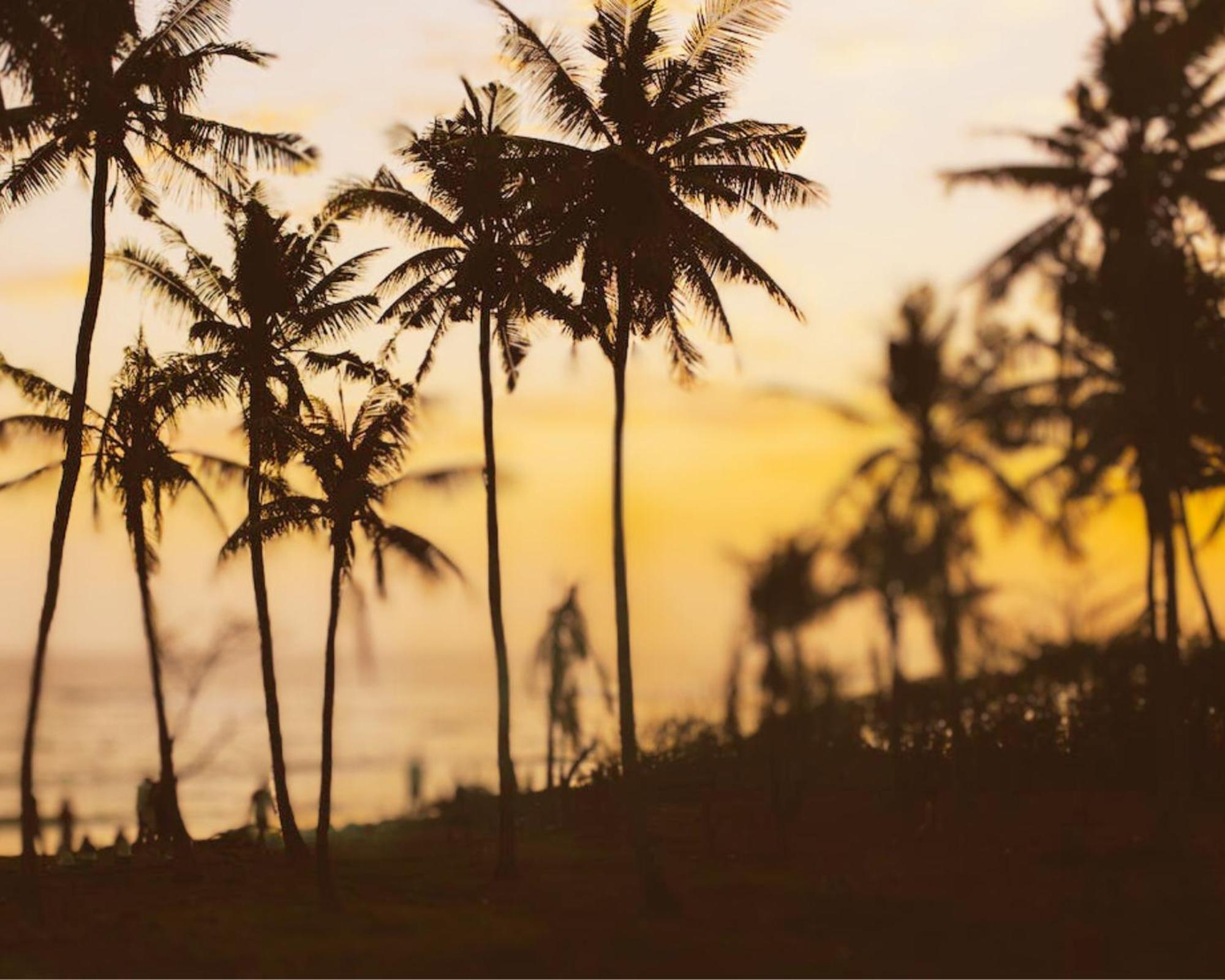 Amour At Turtle Beach Tangalle Bagian luar foto